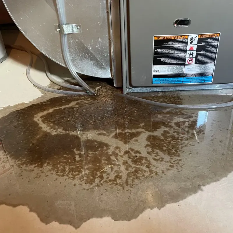 Pipe Burst and Leak Restoration in West Nyack, NY